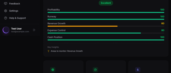 Multi-dashboard view of entity management software showing budgets, expenses, revenue tracking, and AI-powered financial insights for startups managing multiple businesses